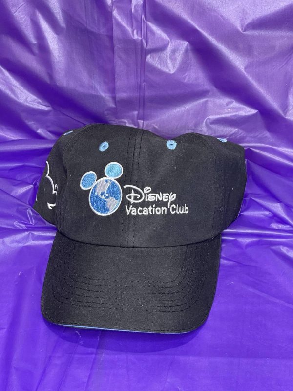 2025 Family Reunion Lot 04 - DVC - Image 4