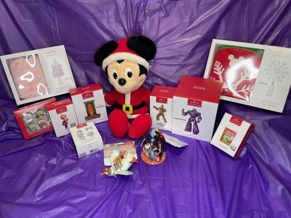 2025 Family Reunion Lot 13 - Disney Christmas